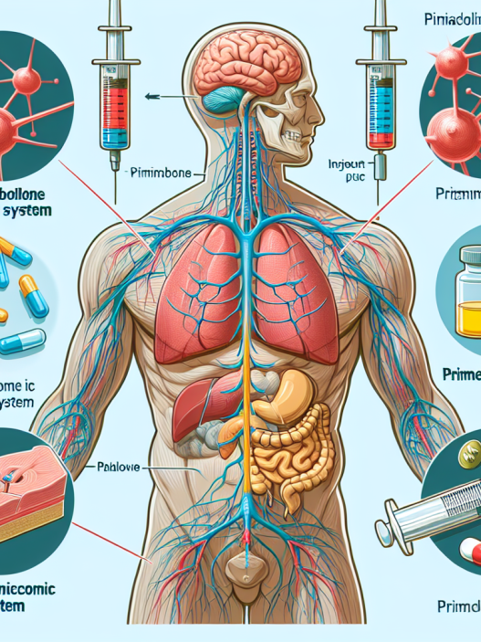 Cómo afecta Primobolan (Metenolona) inyectables al sistema nervioso autónomo