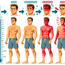 Qué hacer si Testosterona afecta tu temperatura corporal