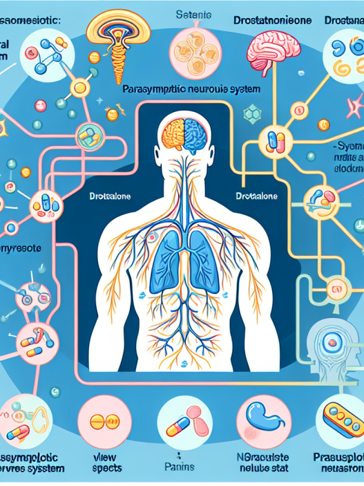 Drostanolona y su efecto en el sistema parasimpático