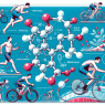 Metformin Hydrochlorid y uso en deportes de resistencia